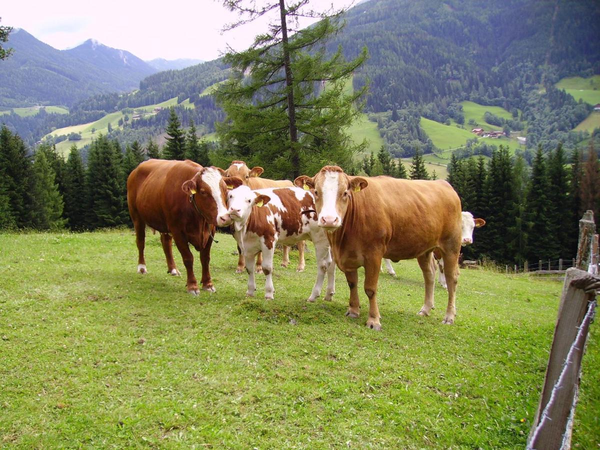 Mittergruberhof Bed and Breakfast Schladming Eksteriør billede